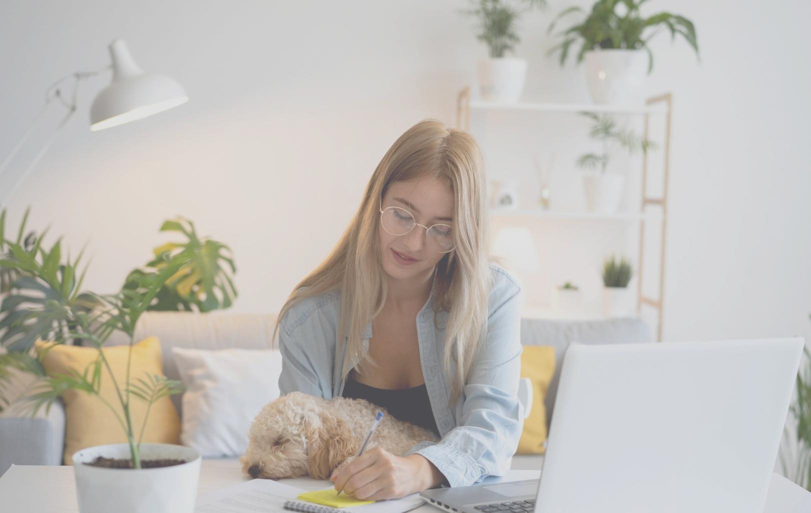 Professionelle Finanzanalyse und Modellierung